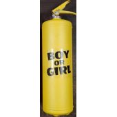 Огнетушитель для гендер пати 3 литра розовый